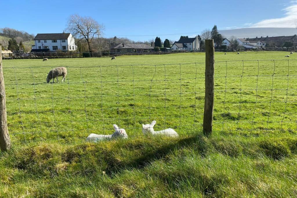 Sawley In The Forest Of Bowland - Cosy Cottage. Clitheroe Exterior foto